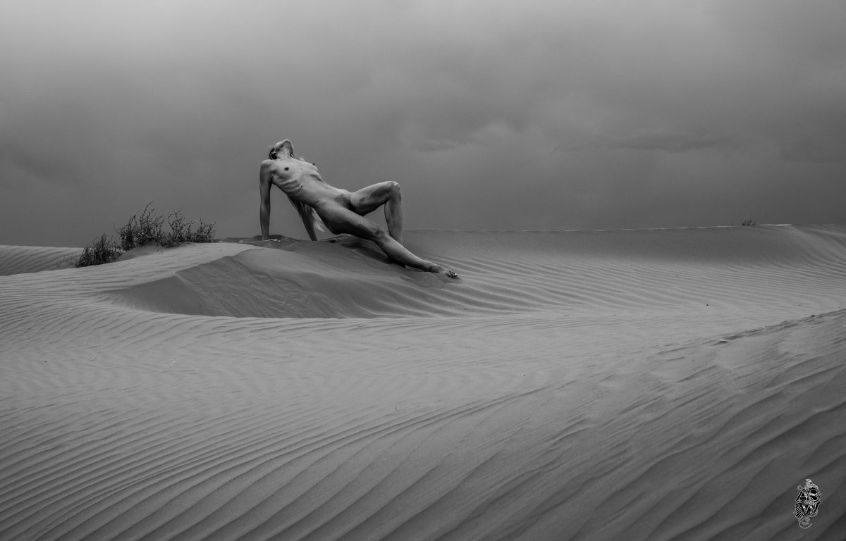 Gallery Image Preview